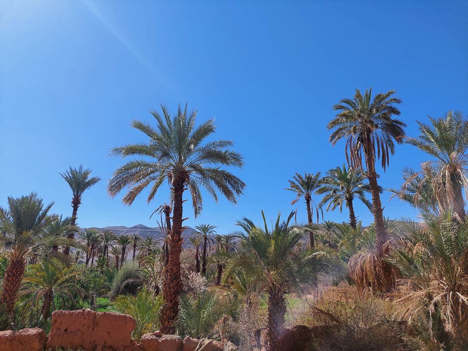 20230311 114710 Selectie Stef Aerts W950