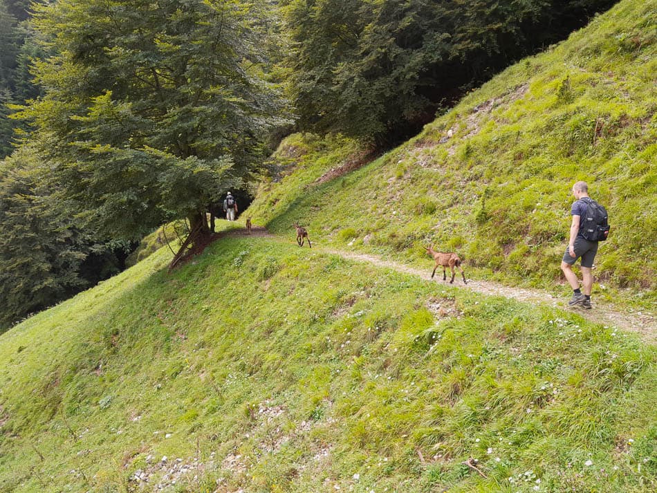 20240723 153011 Selectie Tom Cornelis W950