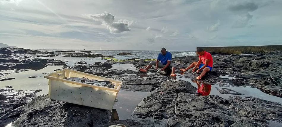 Achtdaagse IMG 20230202 WA0008 Frederik Vrijs W950