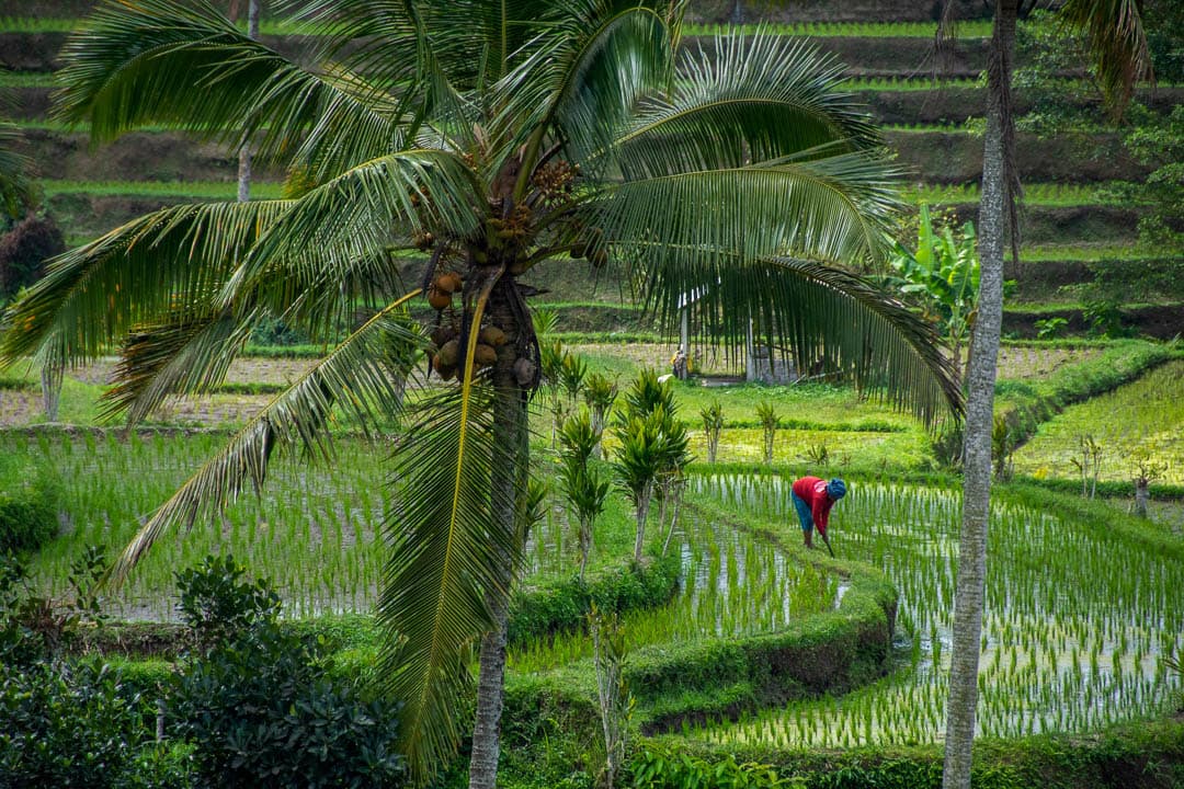 IDGI 2019 Jeroenvereyser (3) Jeroen Veryser 1080