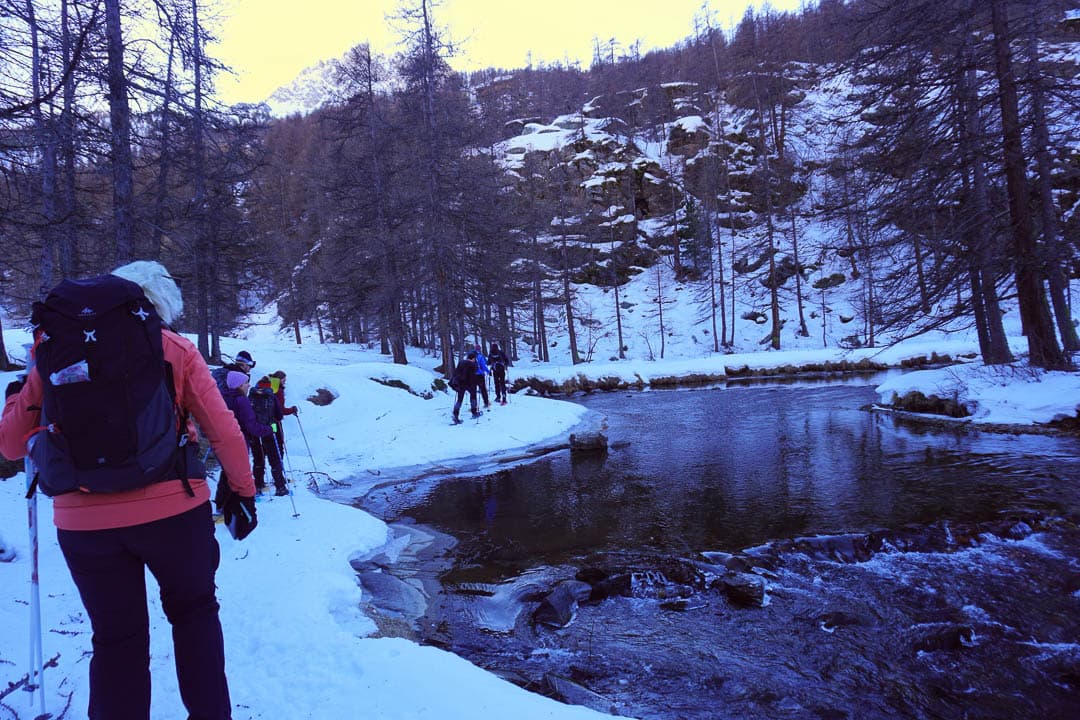 Image00485 Van Dijck Kwinten 1080