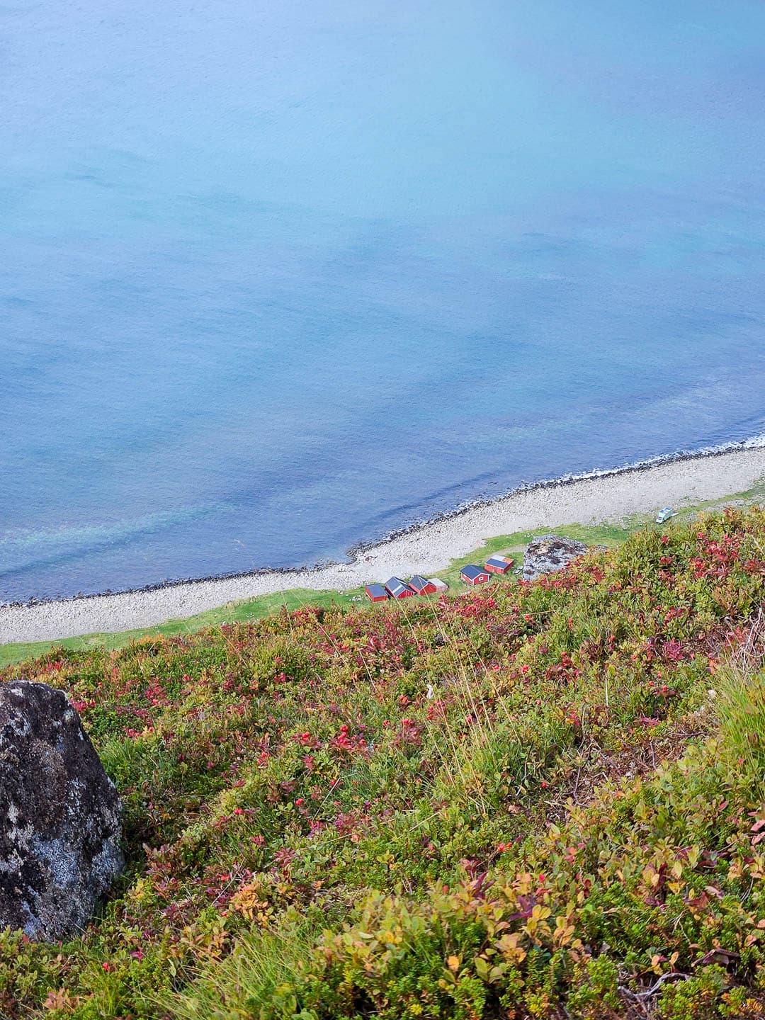 NO4LFA Cedricon 2024 (13) Cedric On 1080