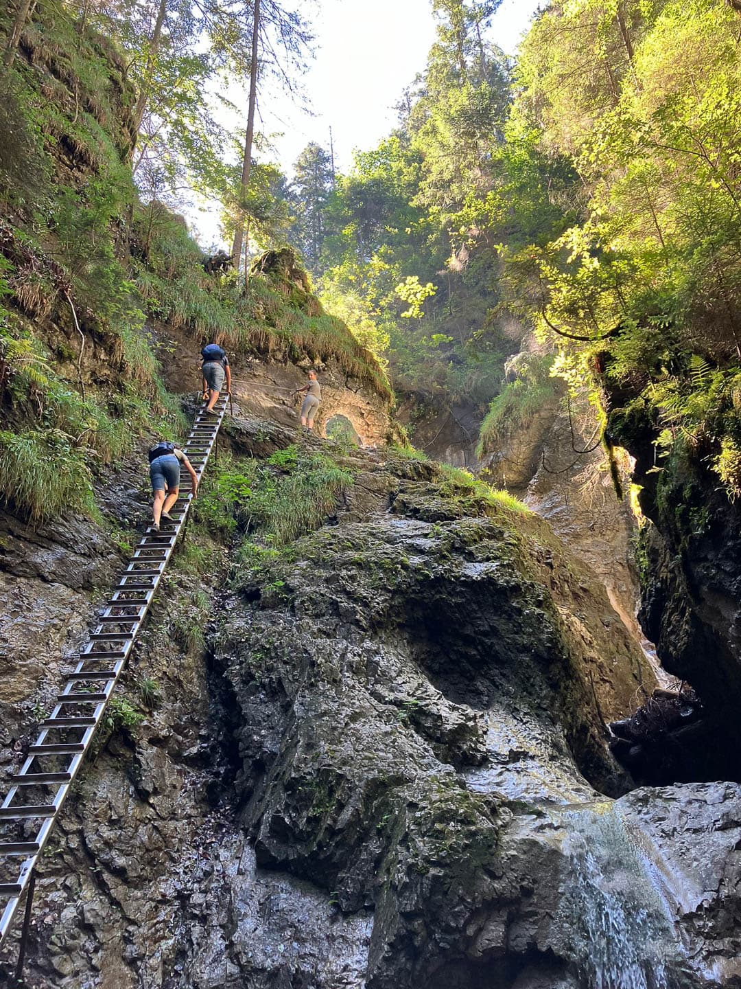 IMG 20240810 WA0089 1080