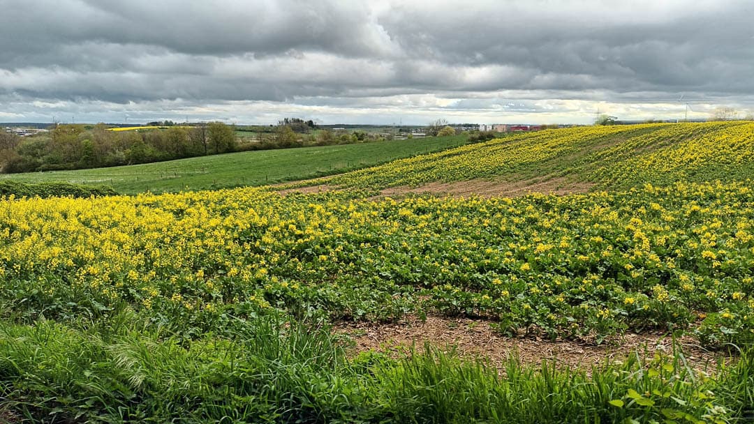 20250421 124208 1080