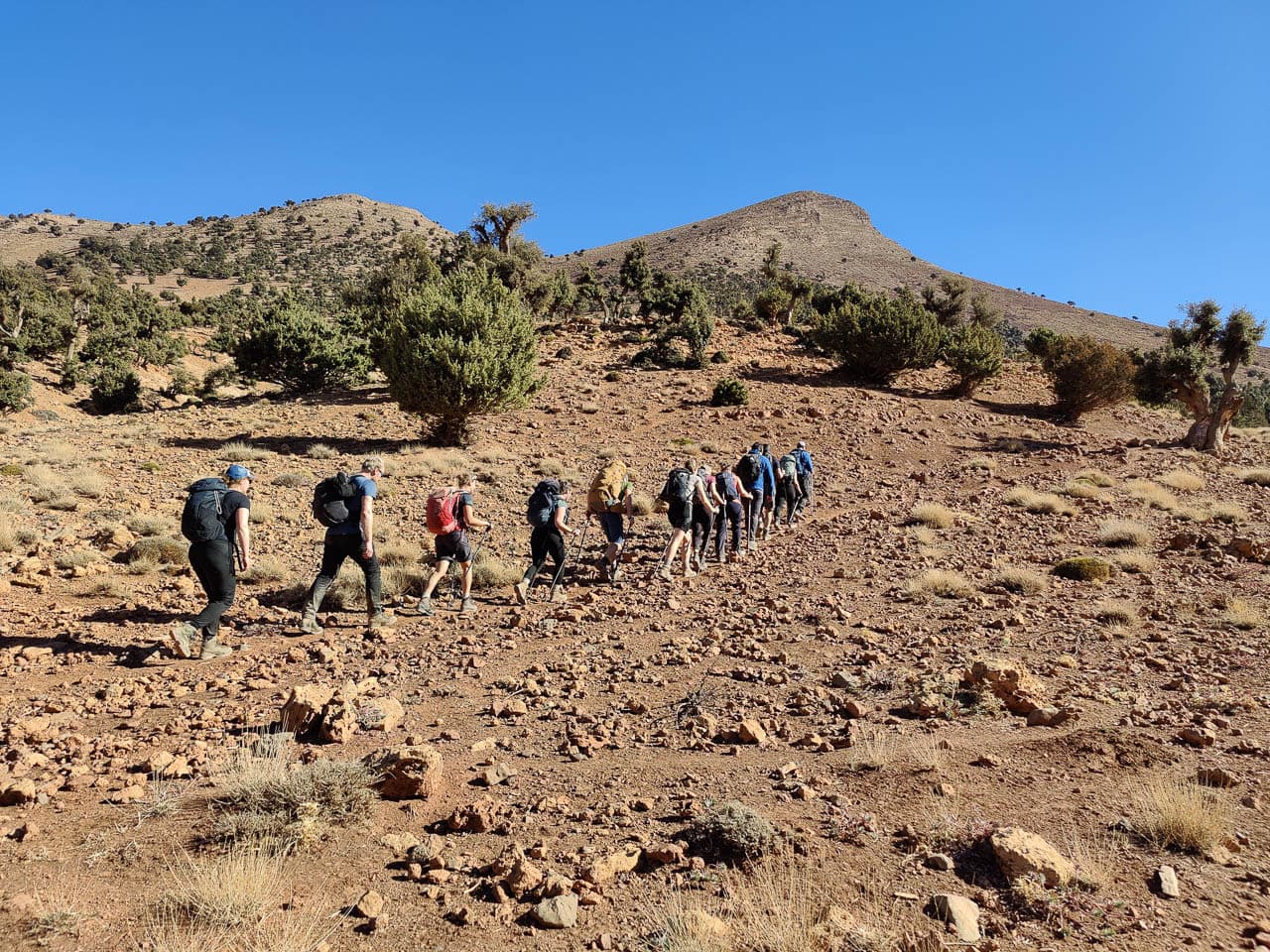 IMG 20231227 120554 Selectie W1280