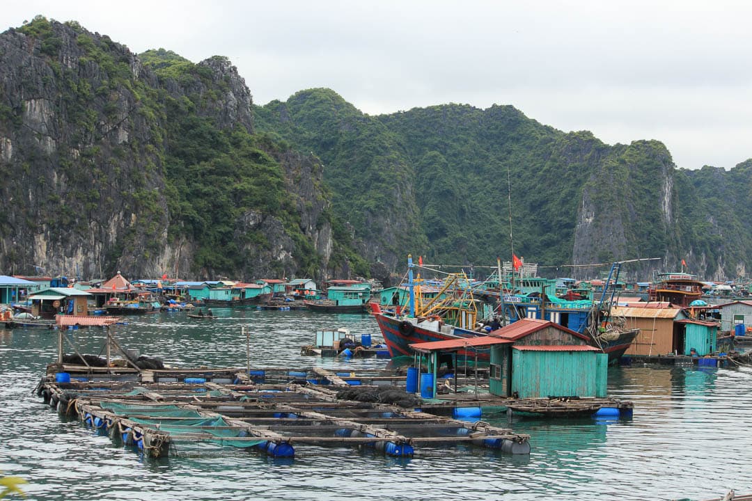 VNAN 2017 Barbara Callewaert (43) 1080