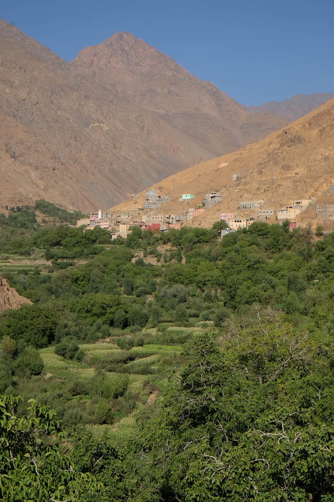 DSCF4929 Maarten Caversoons 1080