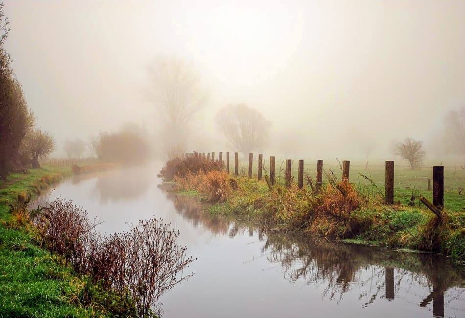 DSC_02_Veronique_De_Smedt_export_w950