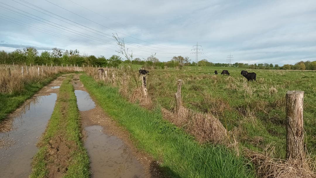 20250420 180347 1080