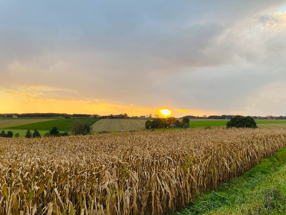 Image00006 Selectie Yasmin Haegeman W950