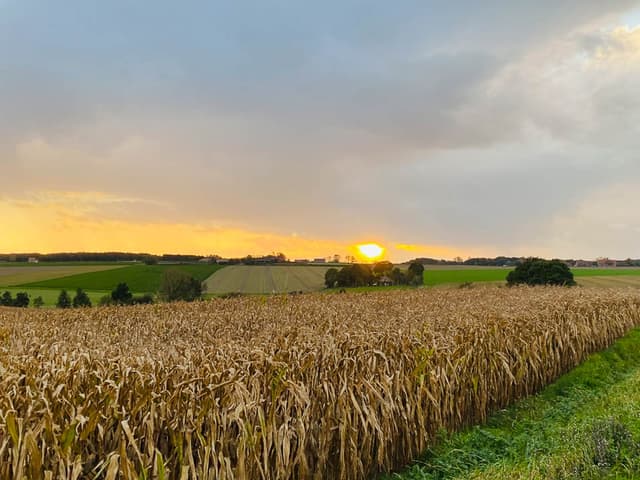 Image00006 Selectie Yasmin Haegeman W950