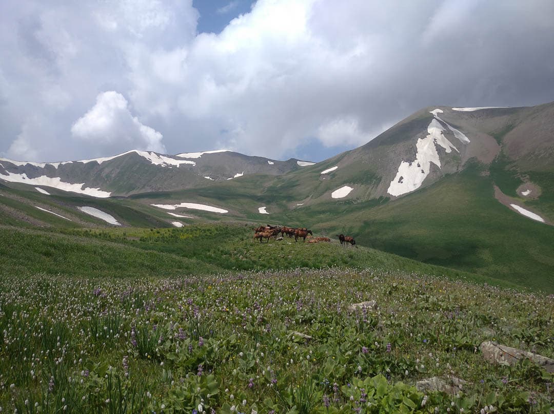 IMG 20230717 120158 1080