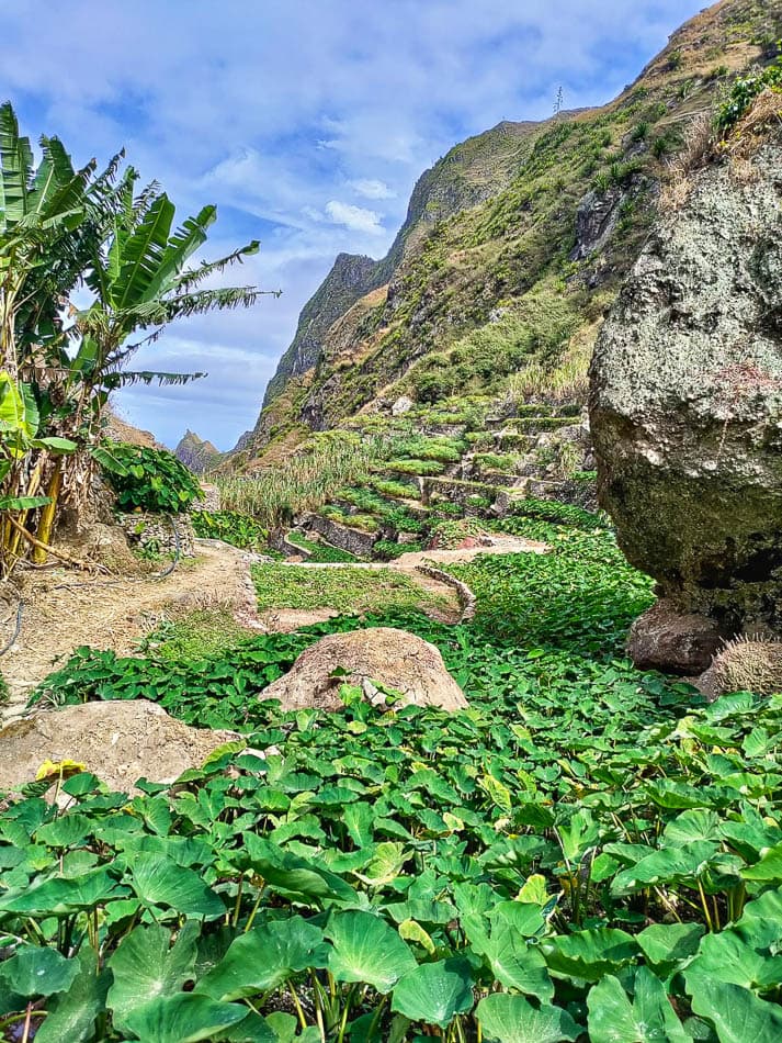 Achtdaagse IMG 20230131 WA0003 Frederik Vrijs W950