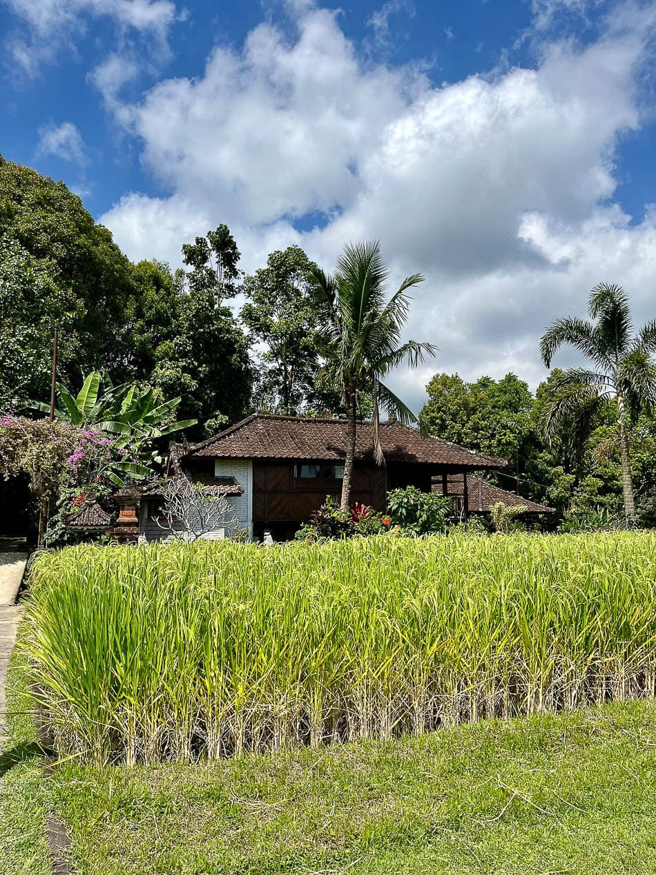 Image00003 Selectie Eveline Eveline Claes W950 Eveline Claes Eveline Claes W950