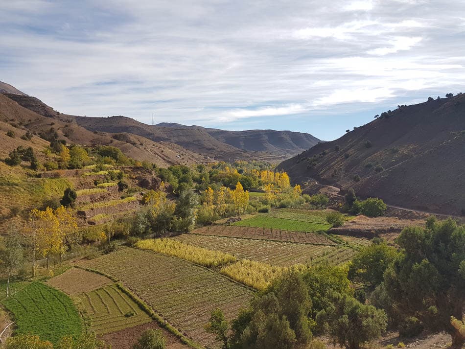 20231027 103433 Selectie Charlotte Stevens W950