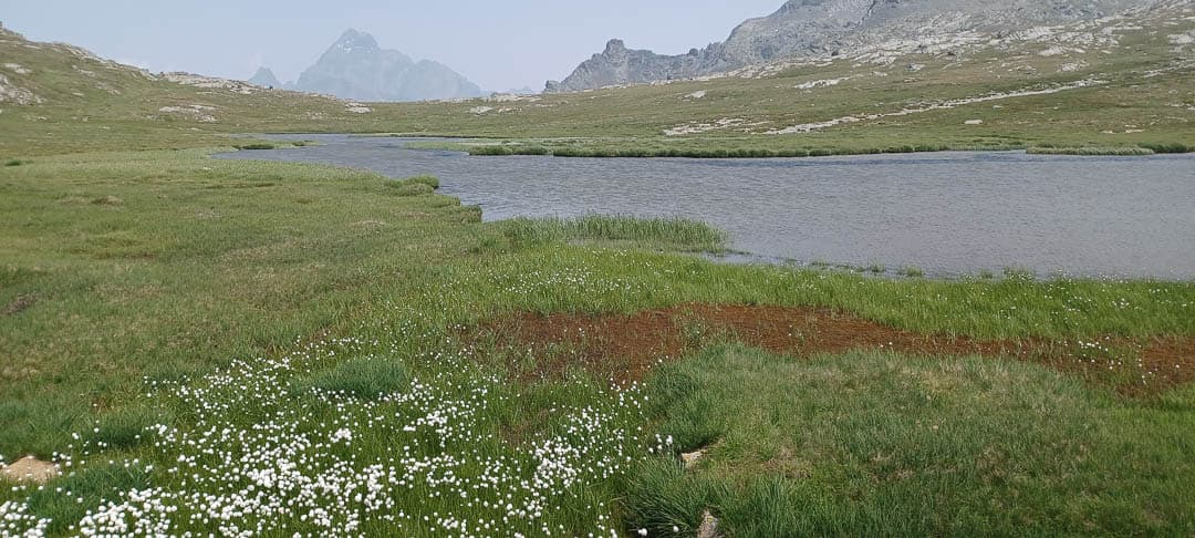 20230722 144933 Filip Dehaene 1080