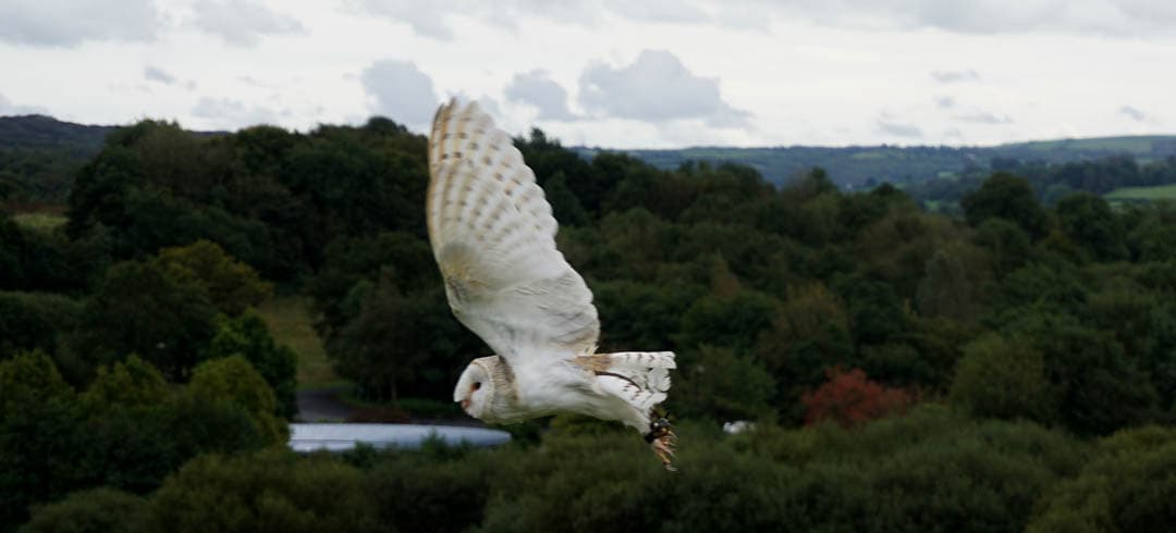 DSC03000 Anneke Van Bockstaele 1080