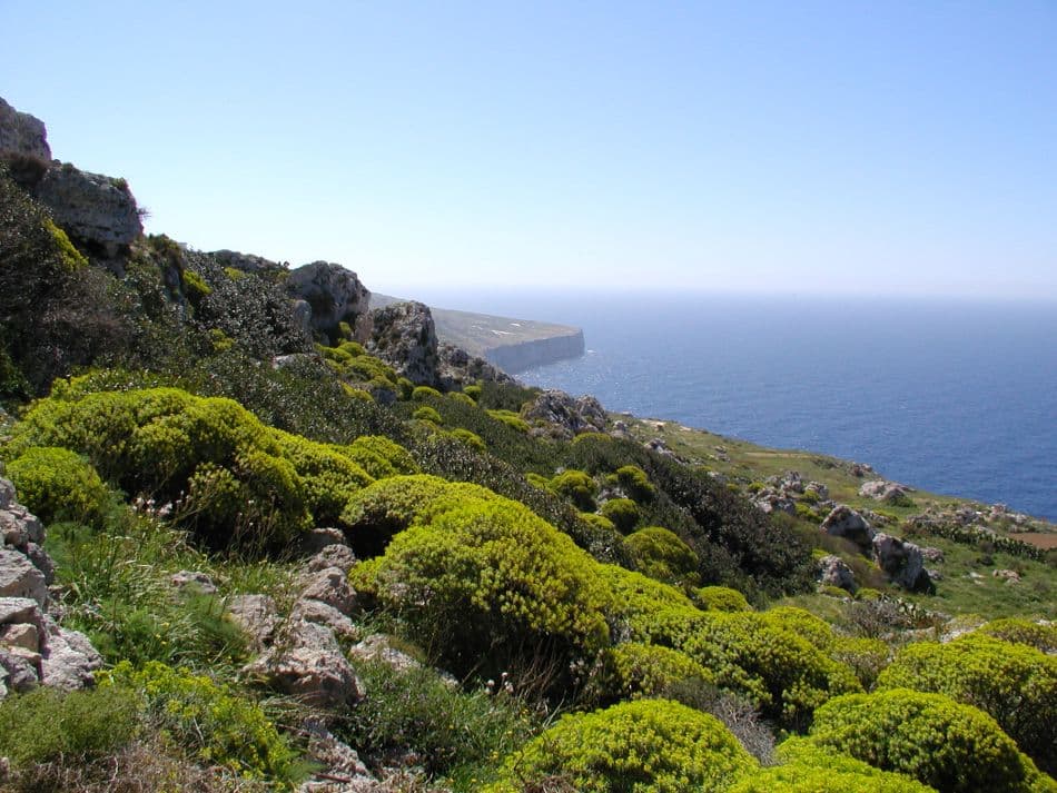 GR12-75 Malta 06 Kristien Roels 2_export_w950