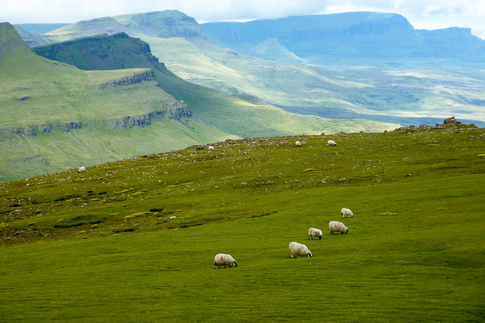 IND11-34-Schotland-Kris-Vanloo-P1000466_export_w950