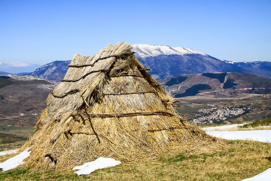 IMG_0788_export_w950