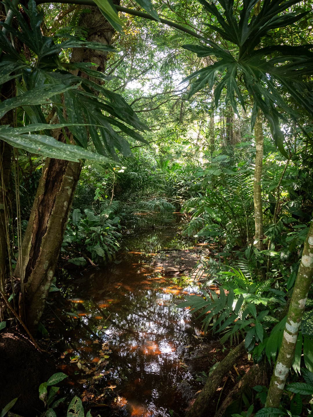 CRAT 23022024 Julie Leyers (39) Julie Leyers 1080