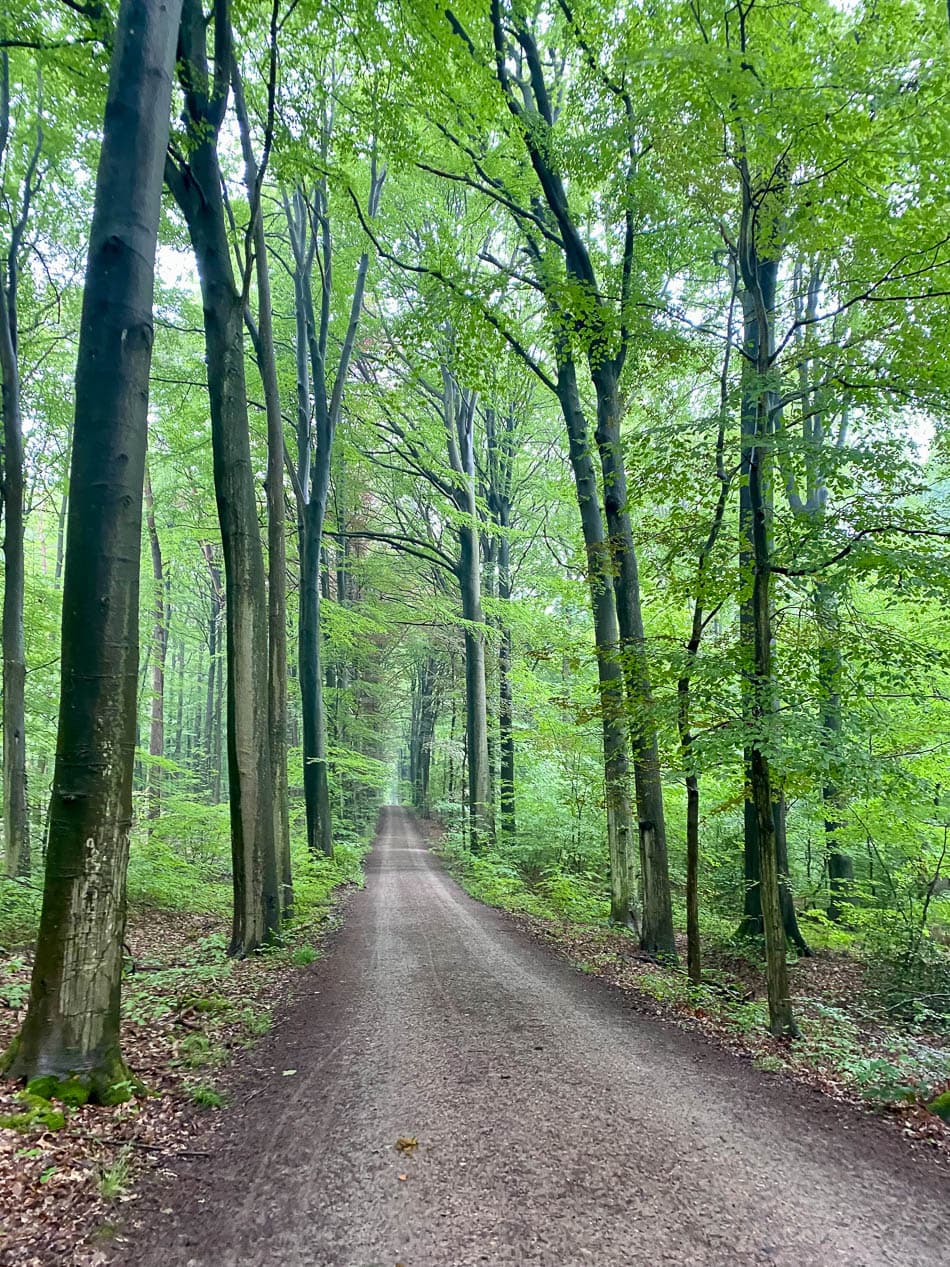 Image00001 Selectie BE4VBB W950