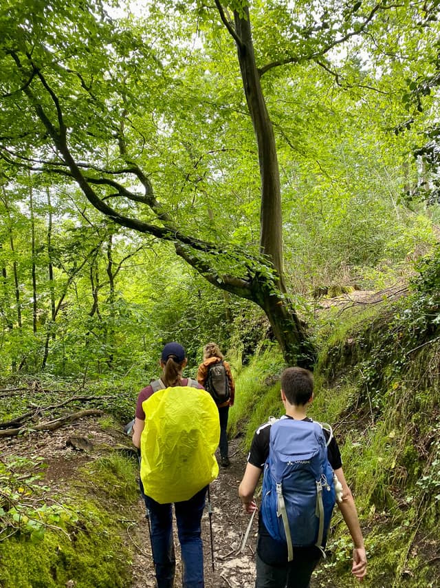 Image00002 Selectie BE4VBB W950