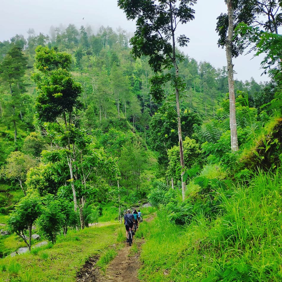 MTB Slope Fietstocht Ababi (Sarah) Sarah W950