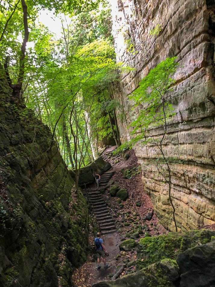 69240537_644591342727609_3506691551365431296_n__w950