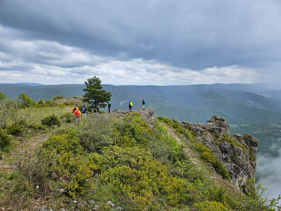 20240520 150244 Selectie Lode Masschelein W950