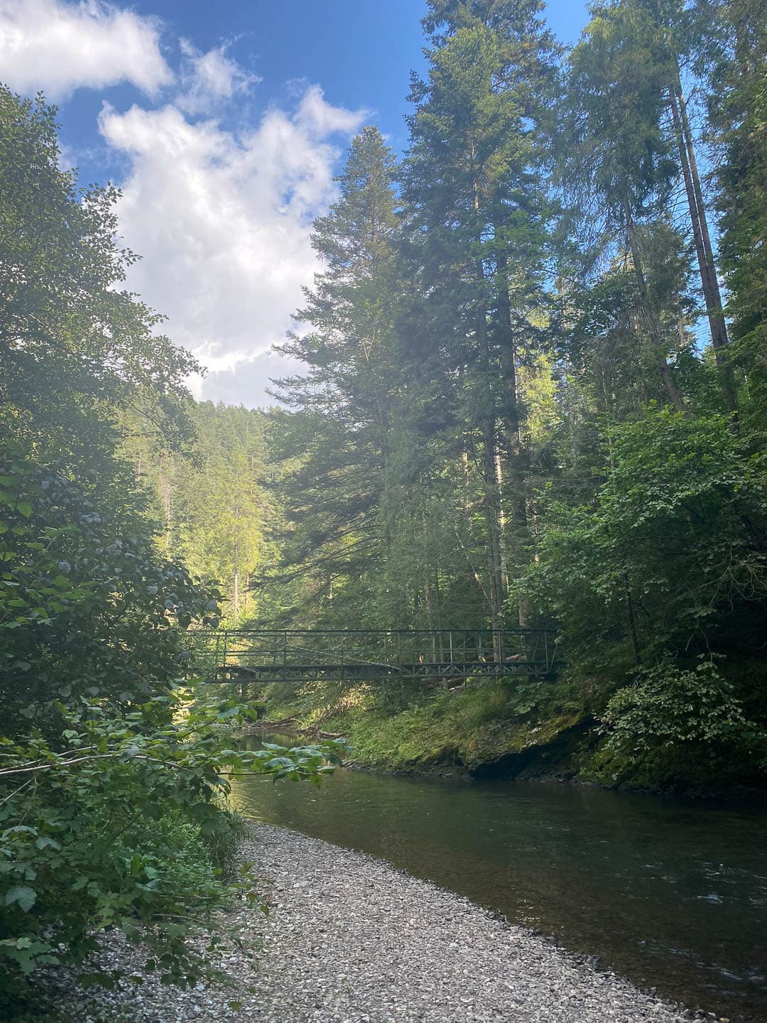 IMG 20240810 WA0021 1080