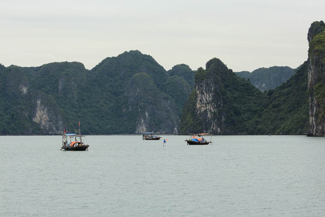 VNAN 2017 Barbara Callewaert (45) 1080