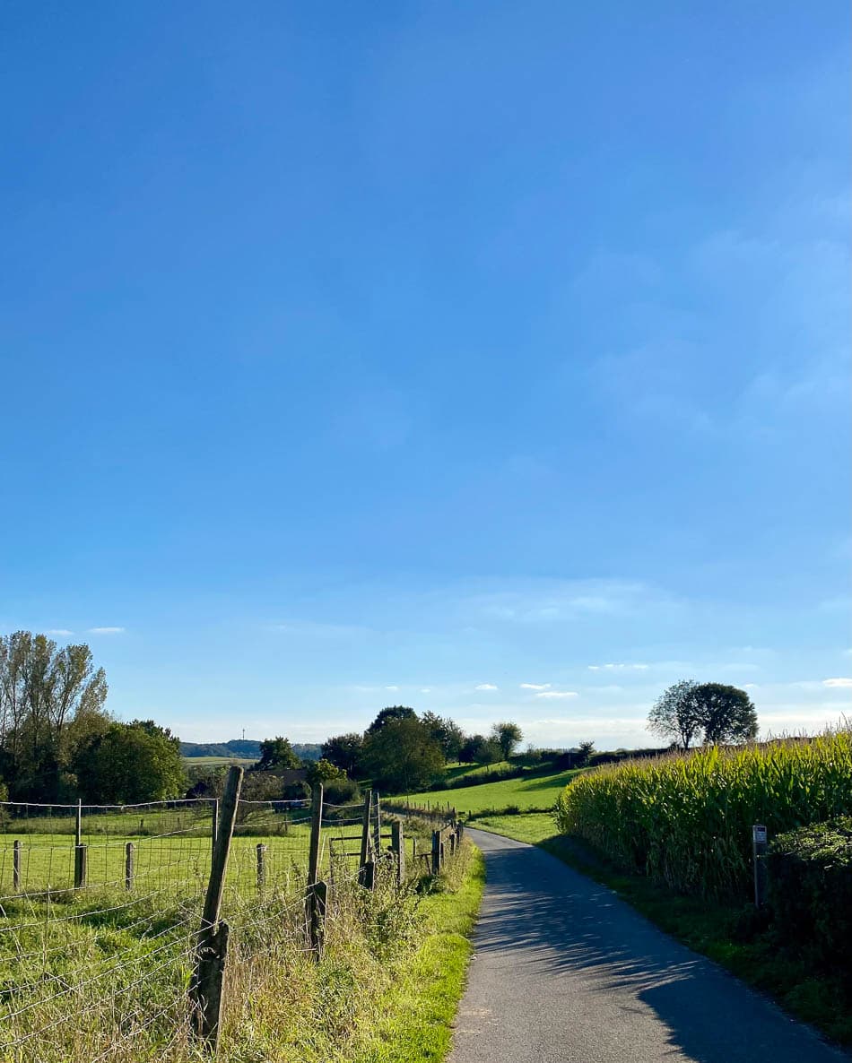 Image00001 Selectie Yasmin Haegeman W950