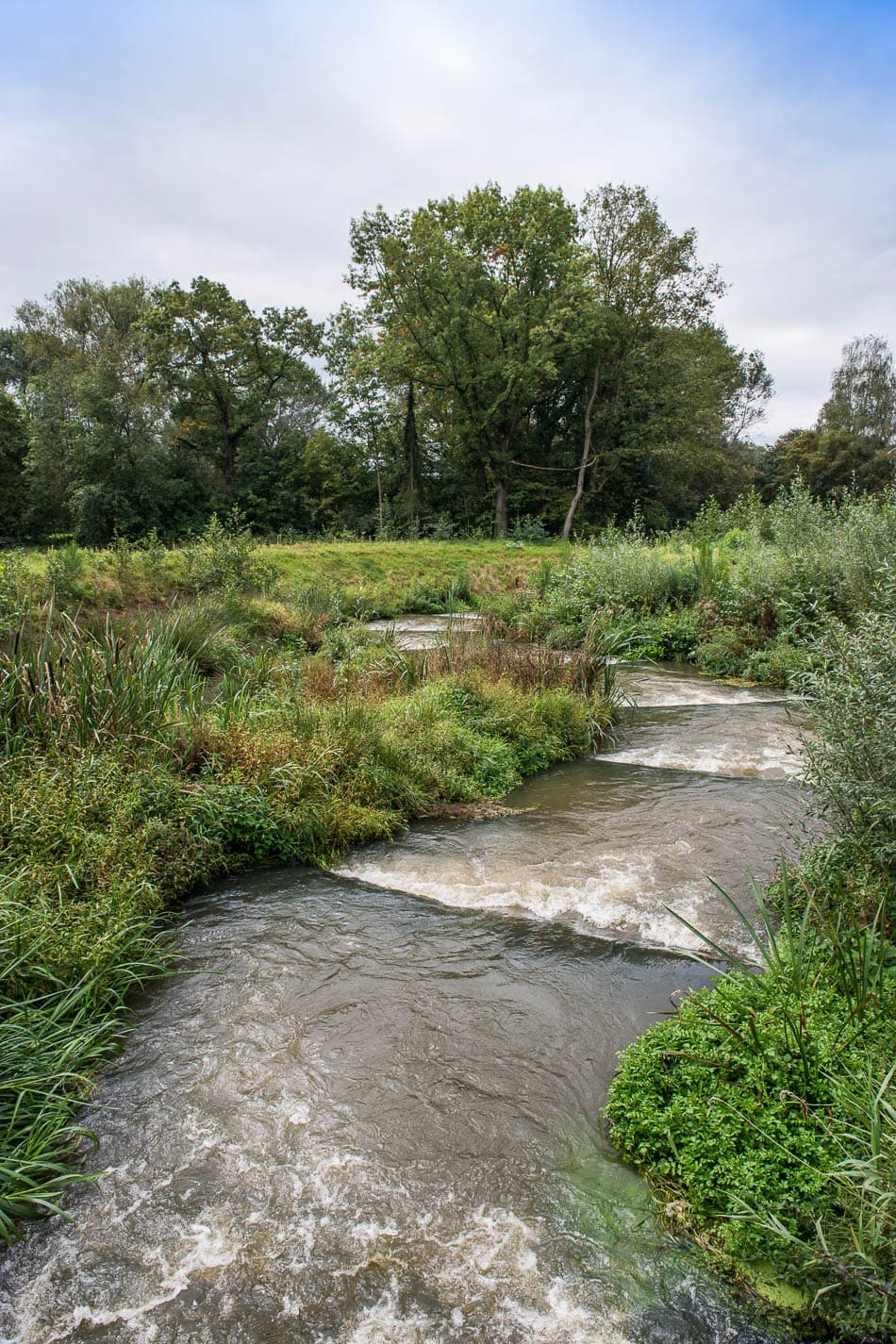 Kasterlee 208 Selectie Mie De Backer W950