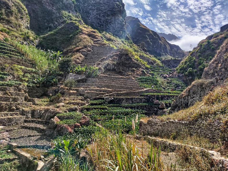 Achtdaagse IMG 20230131 WA0000 Frederik Vrijs W950