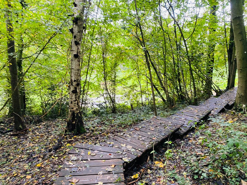 Image00015 Selectie Yasmin Haegeman W950