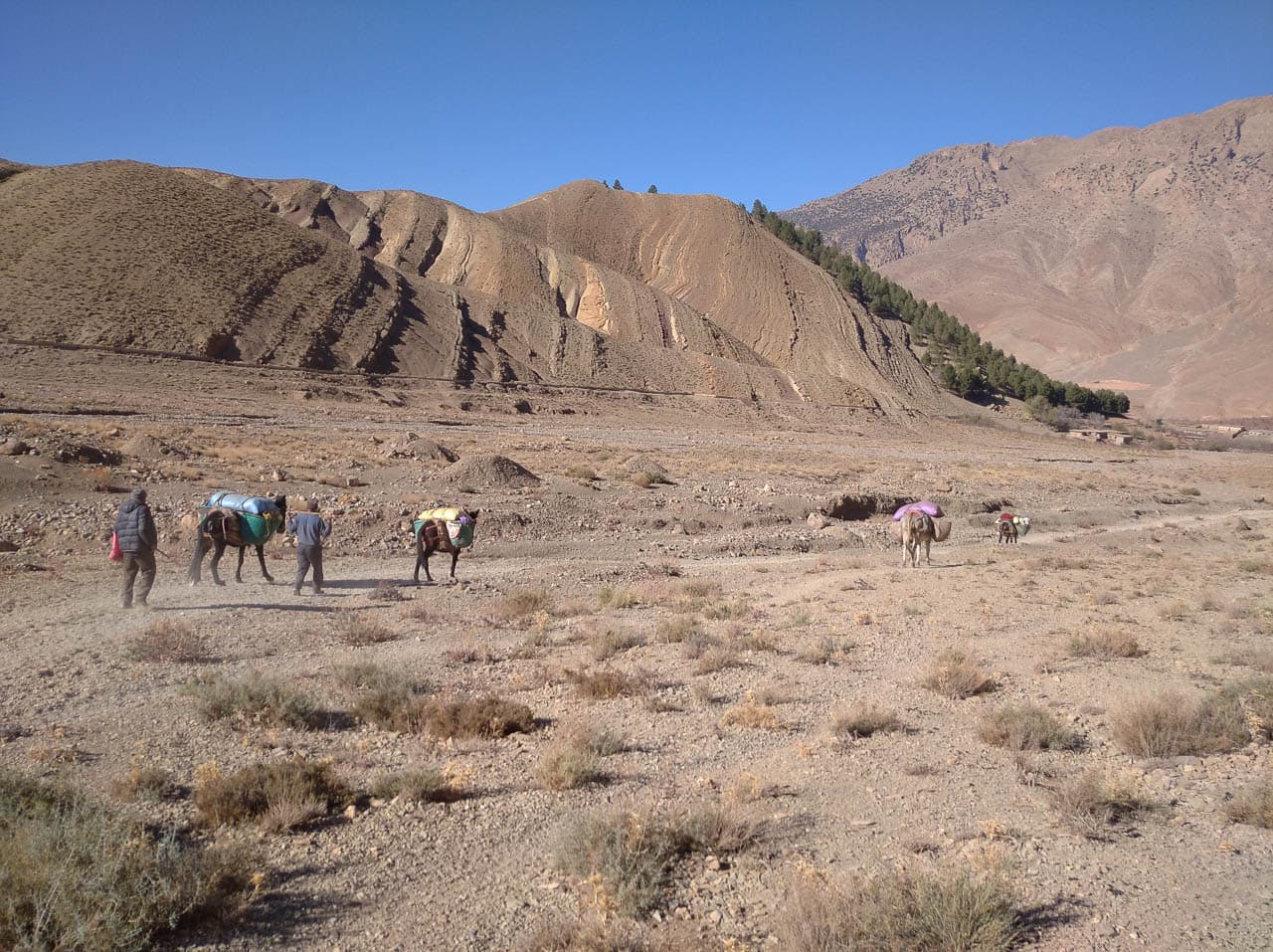 IMG 20231226 114512 Selectie W1280