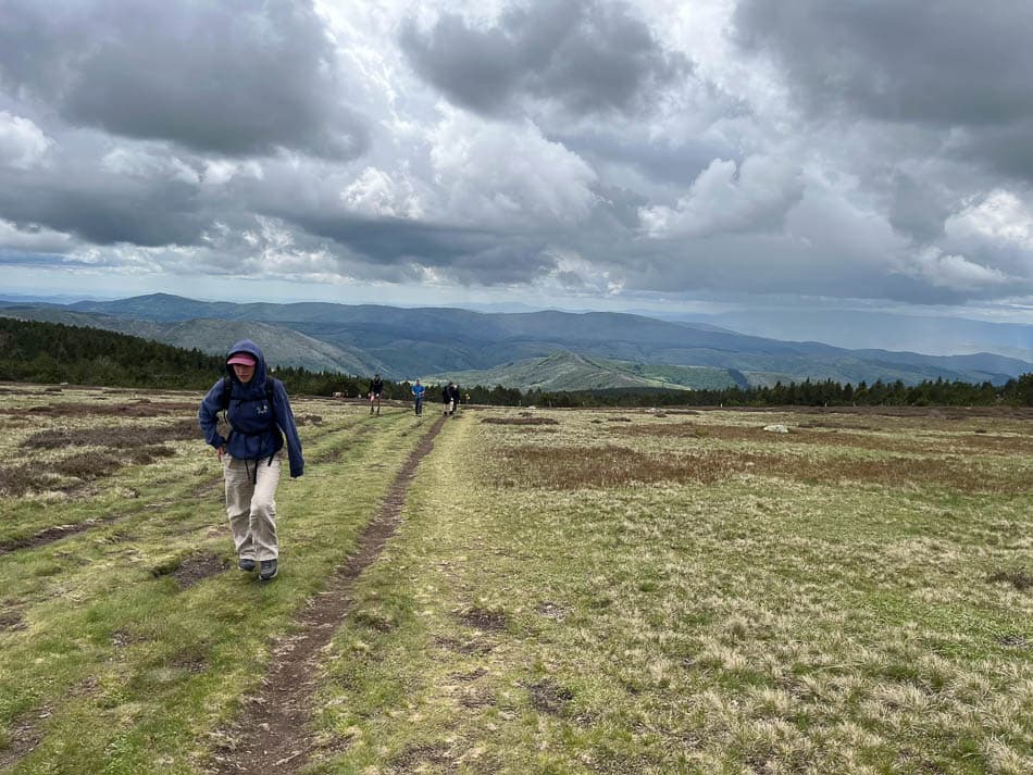 IMG 2366 Selectie W950