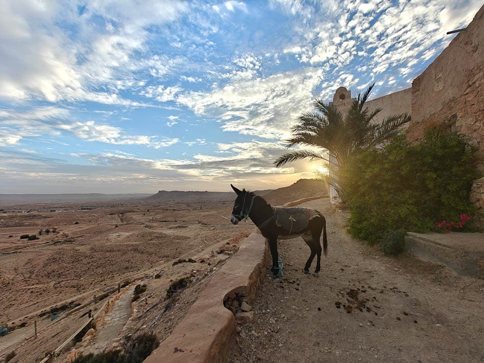 IMG20241110165000 Selectie Anneleen Jansen W950