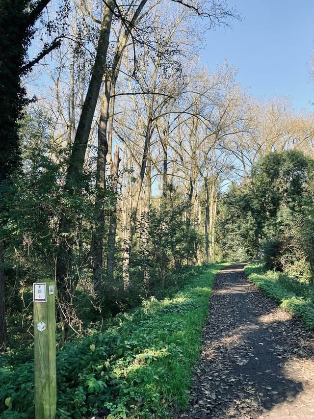 Image00006 Selectie Yasmin Haegeman W950