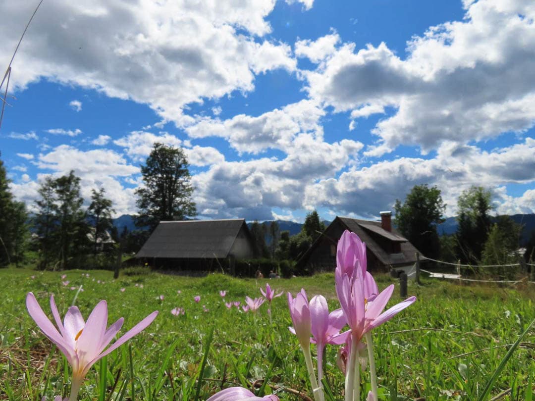 SL4AAA Joliennverhelst 2024 (123) Jolien Verhelsy 1080