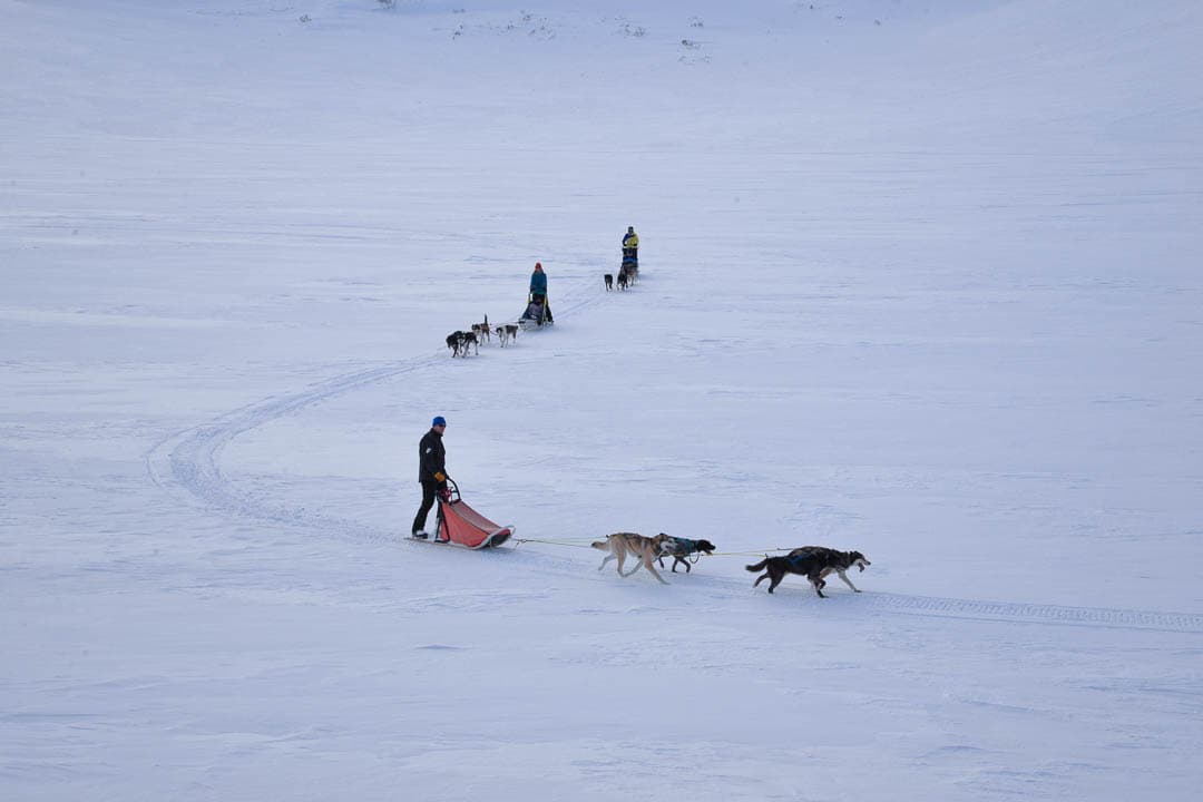 20240322 DSC 0299 1080