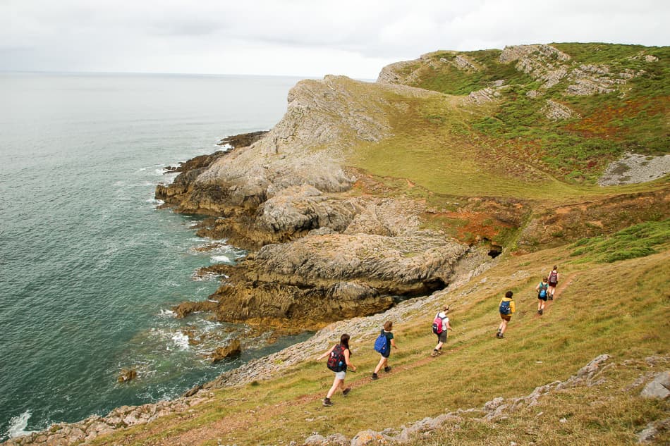 IMG 6765 Export W950