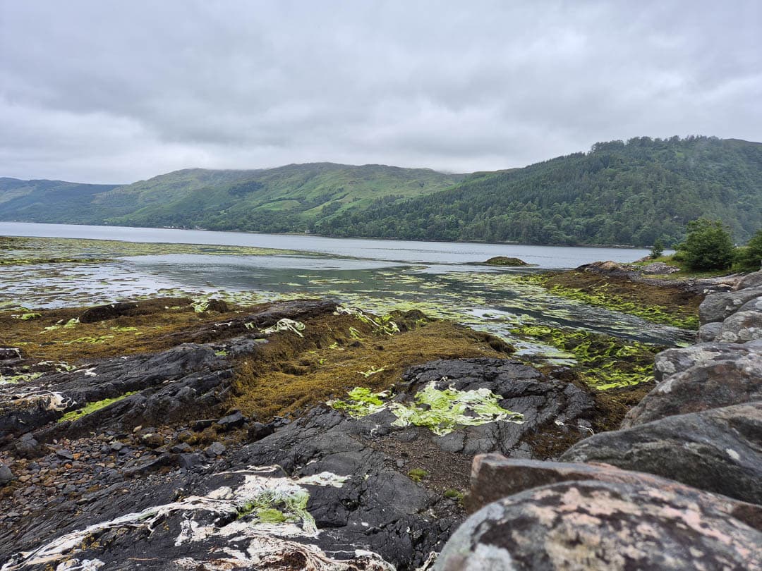 20240712 161314 1080