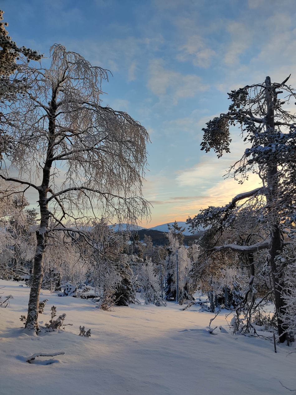 Fell Kukas-FW_ Offer Lapland trip feb 2024 Anders Reizen-Yllas-w950
