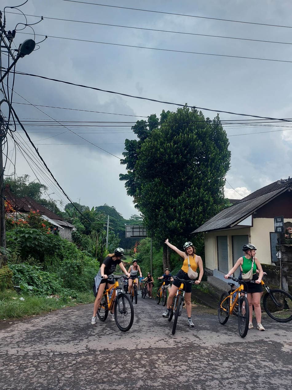 Bbb75556 9Aa0 4B69 A44c D861d49bc41c Selectie Joker W950