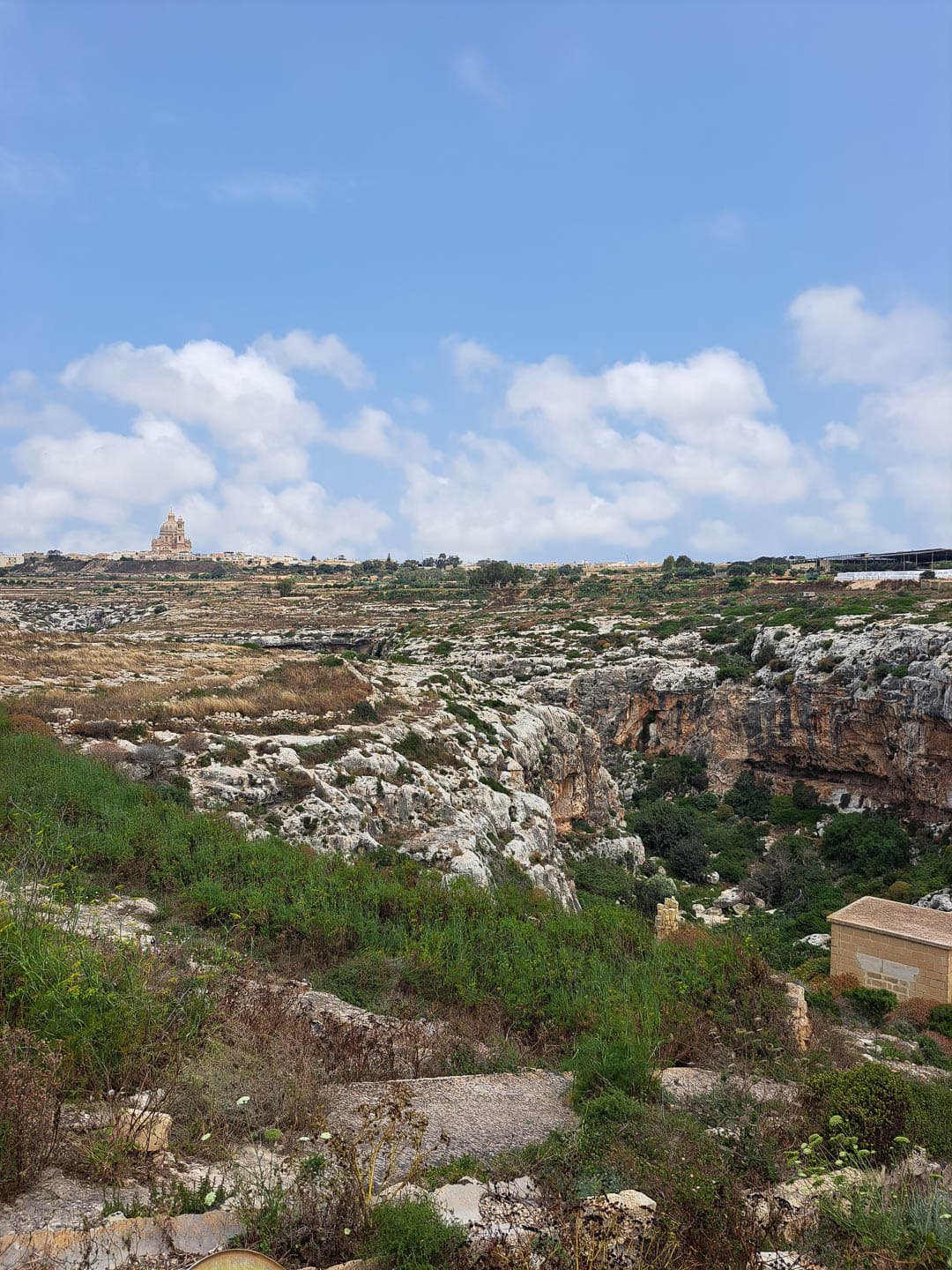 20230524 115643 Yentl Steurs 1080