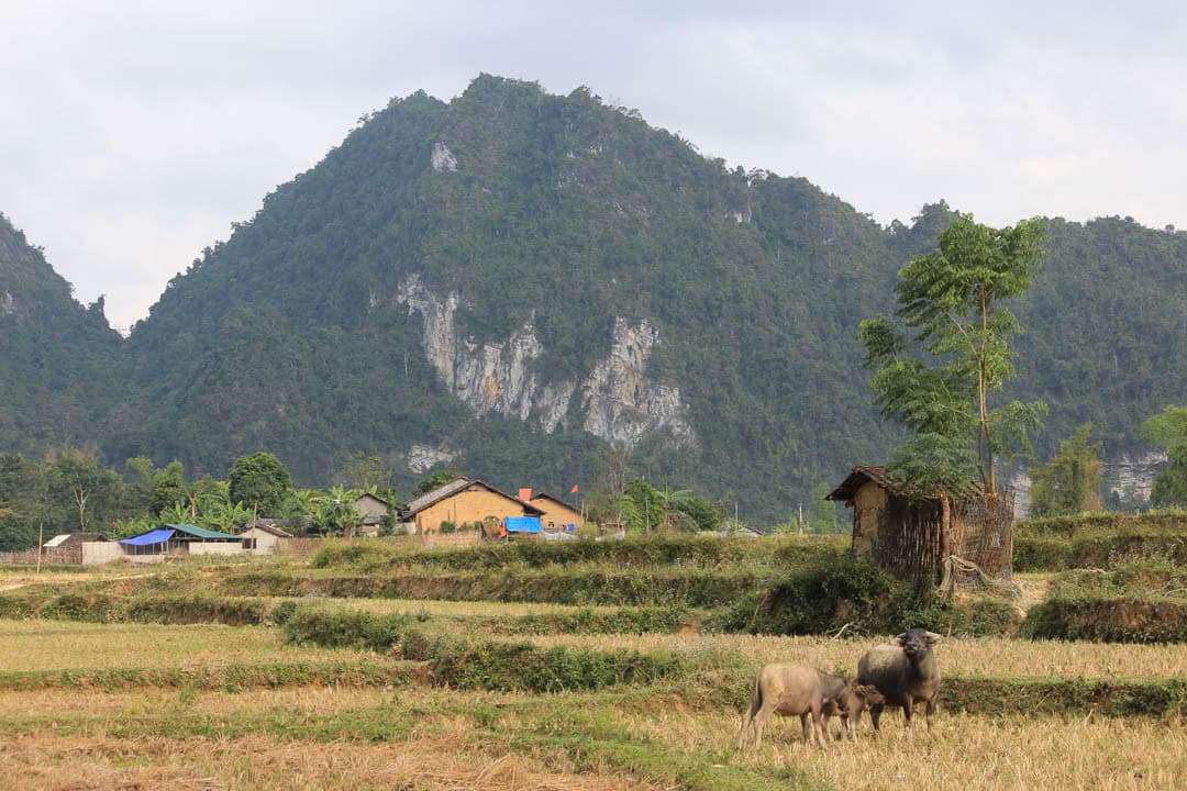 VNAN 2017 Barbara Callewaert (42) 1080