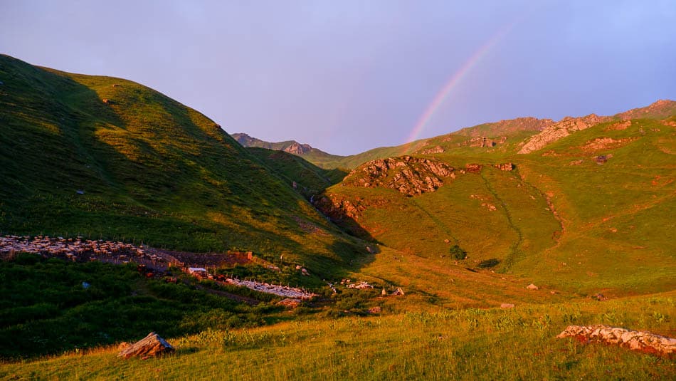 DSCF2580 Selectie Floriane Delbaene W950