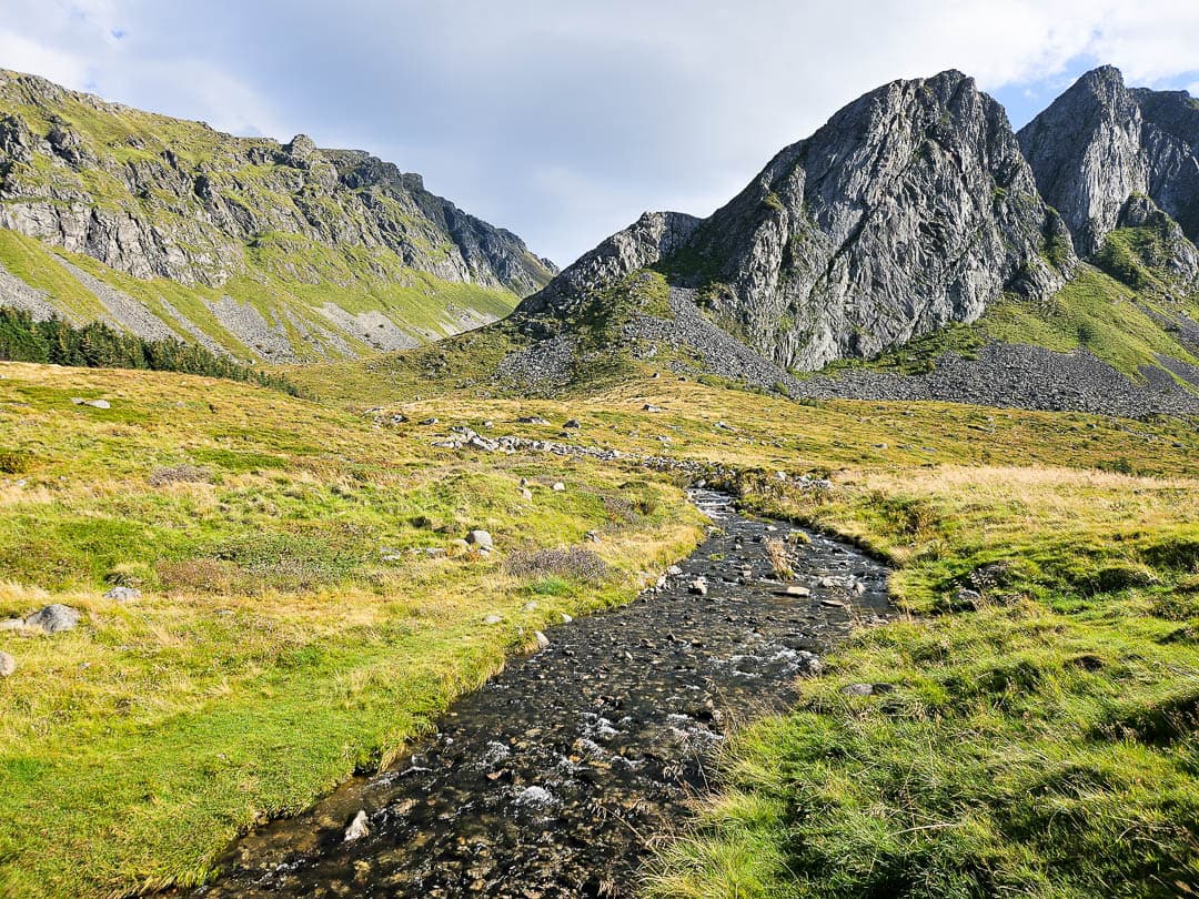 NO4LFA Cedricon 2024 (11) Cedric On 1080